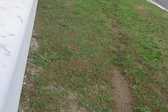 campeonato_gts_11