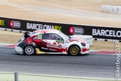 RallyCross 2016-15